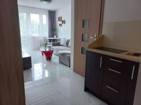 Kawalerka w centrum Wadowic, Wadowice